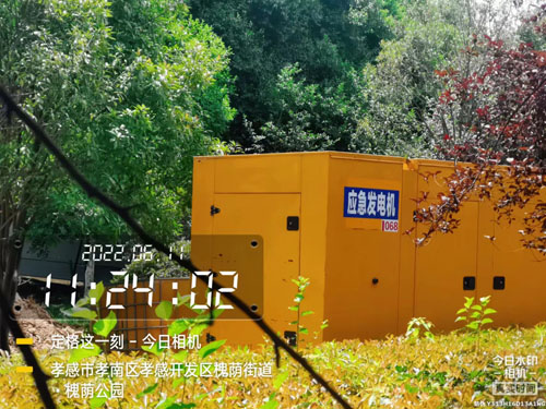 谈喜龙250kw发电机进场设备证明图片-1_20220613082438.jpg